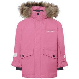 Chaqueta de invierno para niños Didriksons Bjärven Kids Parka 5 Heather Pink rosa Heather Pink