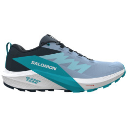 Zapatillas de carrera para mujer Salomon Sense Ride 5 azul Cashmere Blue