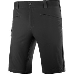 Pantalones cortos de hombre Salomon Wayfarer negro Black