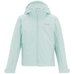 Chaqueta para niños Regatta Acidity OceMisIvMos verde claro OceMisIvMos