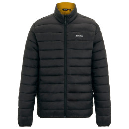 Chaqueta acolchada para hombre Regatta Marizion negro/marrón Blk(WoodBrn)