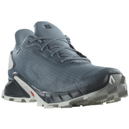 Zapatillas de carrera para hombre Salomon Alphacross 4 Gore-Tex azul/gris China Blue / Carbon / Lunar Rock