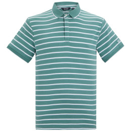 Camiseta de hombre Regatta Tiver verde/blanco Artc/WhtStrp
