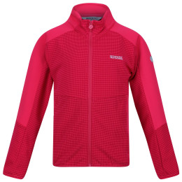 Sudadera para niños Regatta Jnr Highton FZ II rosa Pink Potion