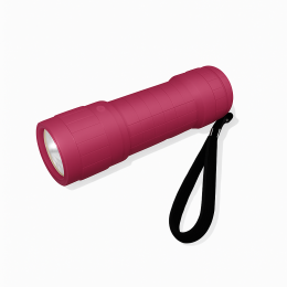Linterna de bolsillo Regatta 9 LED Hand Tor
