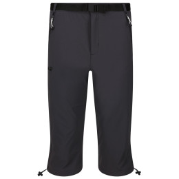 Pantalones de tres cuartos para hombre Regatta Xert Str CapriIII gris Seal Grey