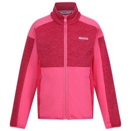 Sudadera para niños Regatta Jn Highton FZ III rosa Flamingo Pink