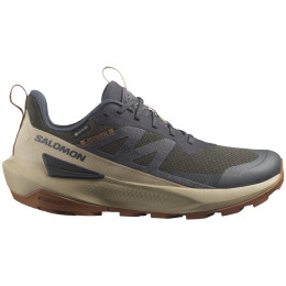 Zapatos trekking hombre Salomon Elixir Activ Gore-Tex