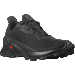 Calzado de mujer Salomon Alphacross 3 Gore-Tex negro Black(PantoneTapShoe)