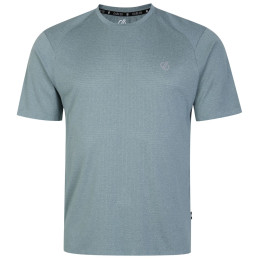 Camiseta de hombre Dare 2b Momentum Tee gris claro Slate Marl