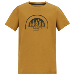 Camiseta para niños Regatta Bosley Wood Brown marrón Wood Brown