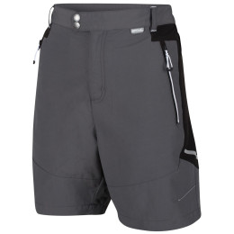 Pantalones cortos de hombre Regatta Sungari Shorts II gris Magent/Black