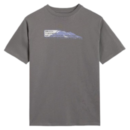 Camiseta para niños 4F Tshirt M2409 gris MIDDLE GREY