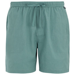 Pantalones cortos de hombre Regatta Hadlin Shorts azul claro Arctic