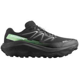 Calzado de hombre Salomon Ultra Flow 2 Gore-Tex