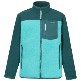 Sudadera funcional para niños Regatta Junior Frankie Warm Fleece Mediterranea/Turquoise verde claro/verde oscuro Mediterranea/Turquoise