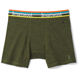 Calzoncillos bóxer funcionales para hombre Smartwool M Merino Sport 150 Boxer Brief Boxed verde MossGreenHeather