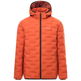 Chaqueta acolchada para hombre Regatta Astrel naranja Rooibos Tea