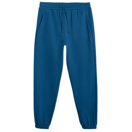 Pantalones de hombre 4F Trousers Cas M1139