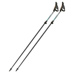 Bastones de caminata nórdica Fizan Tekno Race Impulse gris Grey