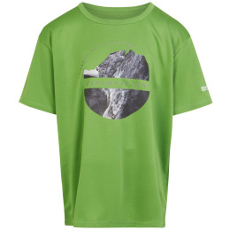 Camiseta para niños Regatta Alvarado VIII verde Piquant Green