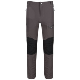 Pantalones de hombre Regatta Questra II gris Magnet/Black