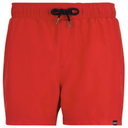 Bañador de hombre Regatta Mawson Swim Shorts III