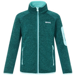 Sudadera para niños Regatta Junior Newhill DrkForGlacGr verde DrkForGlacGr