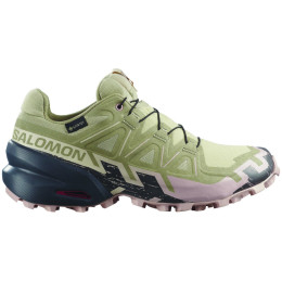 Calzado de mujer Salomon Speedcross 6 Gore-Tex
