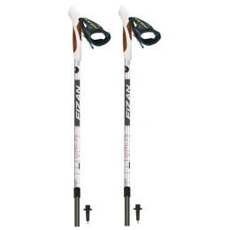 Bastones Fizan NW Fitness gris/negro