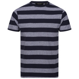 Camiseta de hombre Regatta Ryeden gris Navy/WhitStr