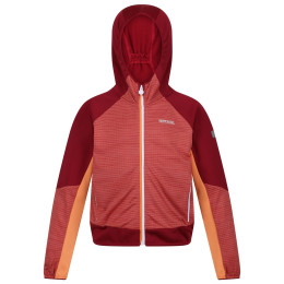 Sudadera para niños Regatta Prenton II rojo Mineral Red/Rumba Red