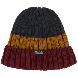 Gorro de invierno Regatta Davion Hat V