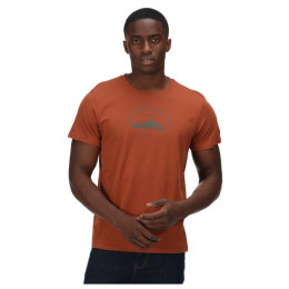 Camiseta de hombre Regatta Cline VI naranja Gingerbread