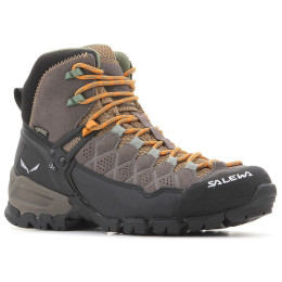 Calzado de mujer Salewa WS Alp Trainer MID GTX