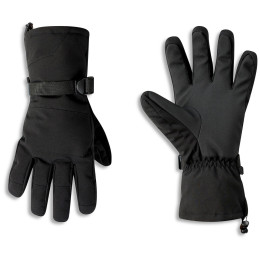 Guantes de esquí Dare 2b Pinnacle Glove negro Black
