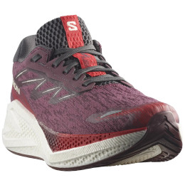 Zapatillas de carrera para mujer Salomon Aero Glide 4