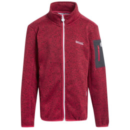 Sudadera para niños Regatta Junior Newhill rosa Pink Potion