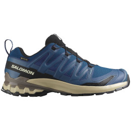 Calzado de senderismo para hombre Salomon Xa Pro 3D V9 Gore-Tex