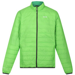 Chaqueta de hombre Regatta Hillpack verde Jasmine Green (Field Green)