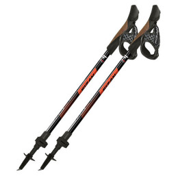 Bastones de caminata nórdica Fizan R-Evolution Pro