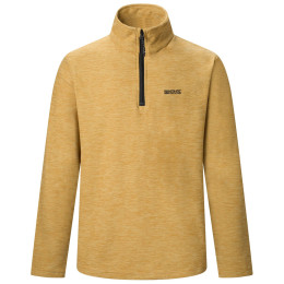 Sudadera funcional de hombre Regatta Thompson Marl