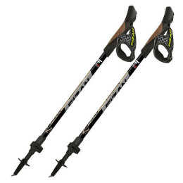 Bastones de caminata nórdica Fizan R-Evolution Pro gris Grey/Beige