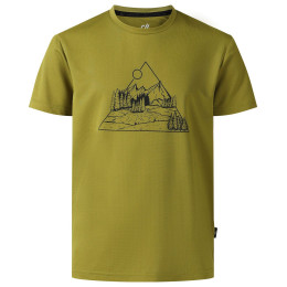 Camiseta para niños Dare 2b Amuse III Tee Goldn Cypress verde GoldnCypress