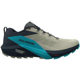 Zapatillas de carrera para hombre Salomon Sense Ride 5 gris/azul Alfalfa