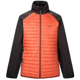 Chaqueta de hombre Regatta Clumber Hybrid