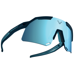 Gafas de sol Dynafit Ultra Evo Sunglasses azul blueberry/storm blue