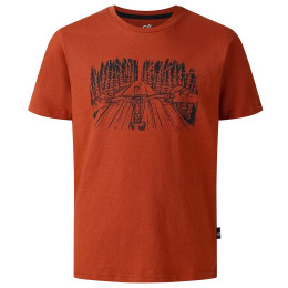 Camiseta para niños Dare 2b Trailbazer III Tee Arabian Spice marrón ArabianSpice