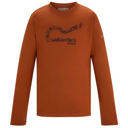 Camiseta para niños Regatta Winter Alvarado Rooibos Tea naranja Rooibos Tea