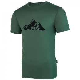 Camiseta de hombre Warg Merino Mountain 165 Short Comfy verde Green